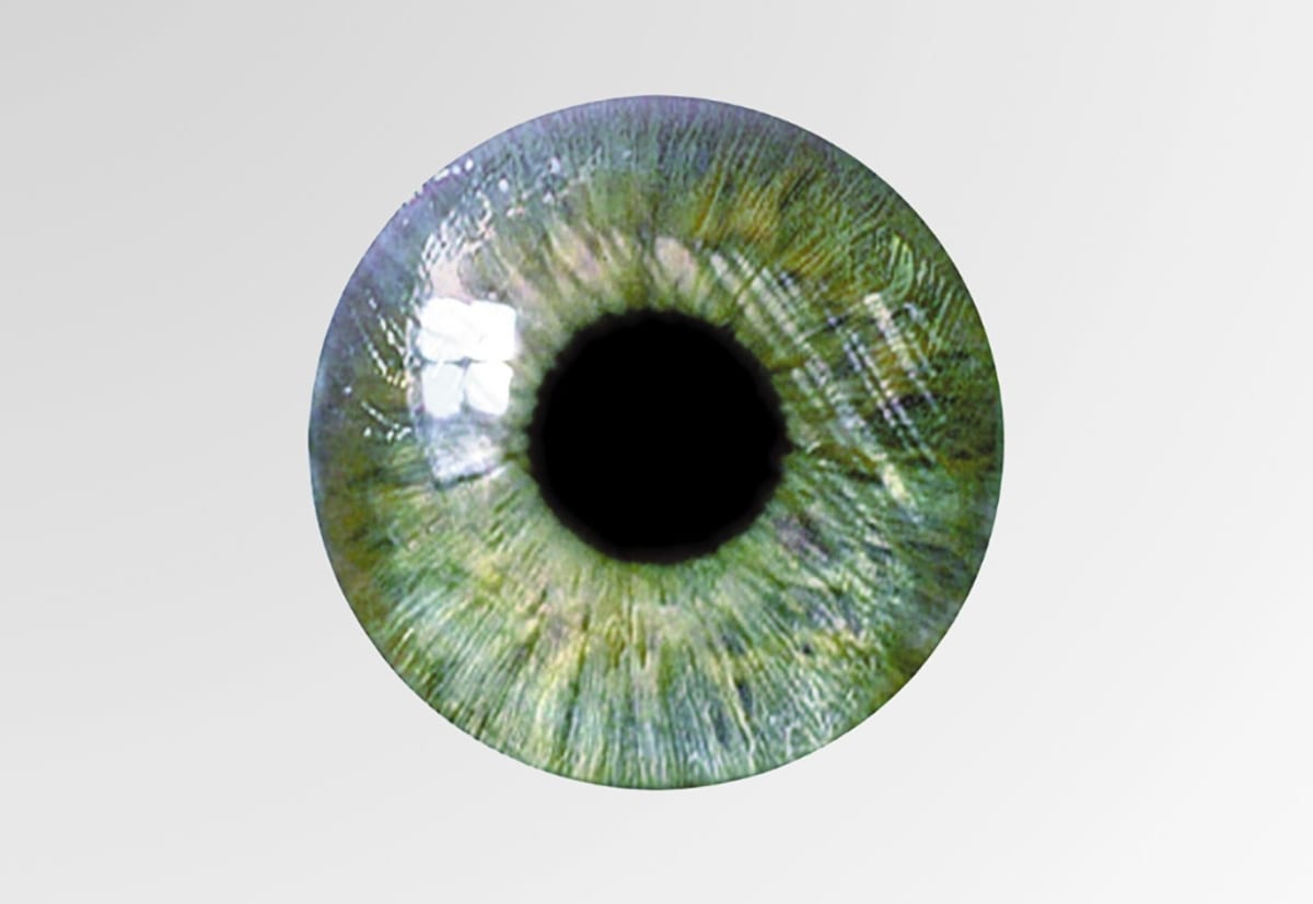 Starx2 Matstheselius | Scandinavian Design