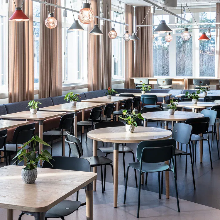 Shibuya Thomas bernstrand zero