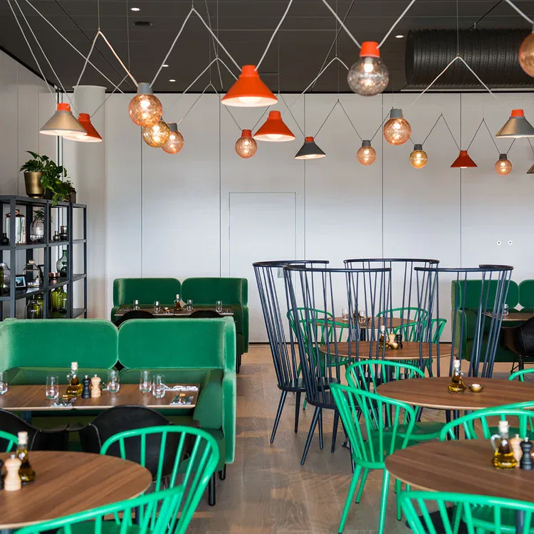 Shibuya Thomas bernstrand zero2