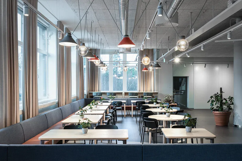 Shibuya Thomas bernstrand zero3