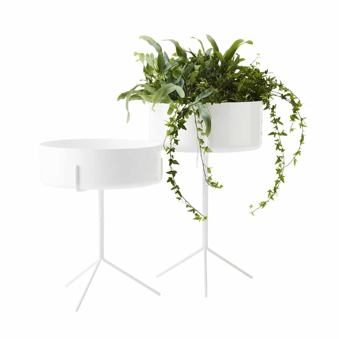 Drum coffee table by Corinna Warm for Swedese – cylindrical form with black or white lacquered metal bowl and wooden lid