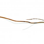 Jh Saunapolku Mountain Ash Jouko Lehtola | Scandinavian Design