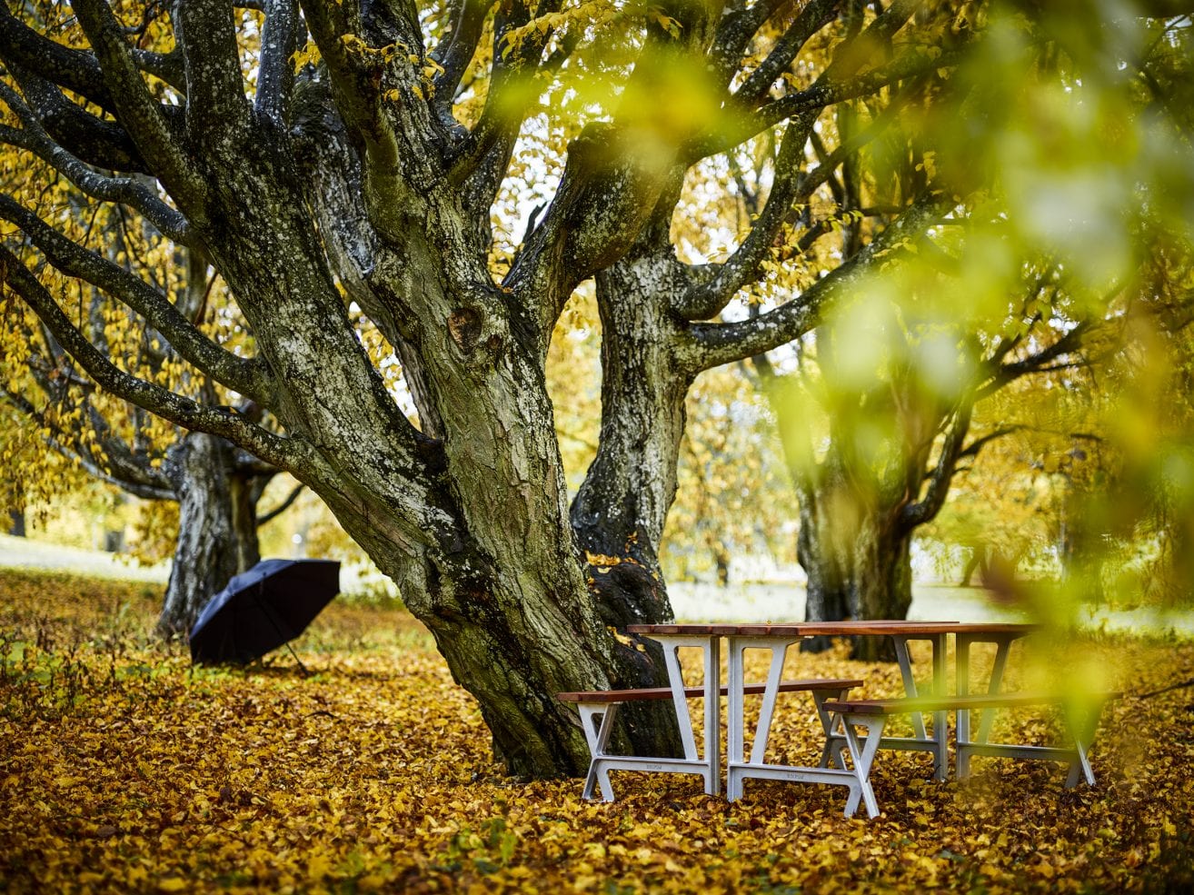 Dominobankbord | Scandinavian Design