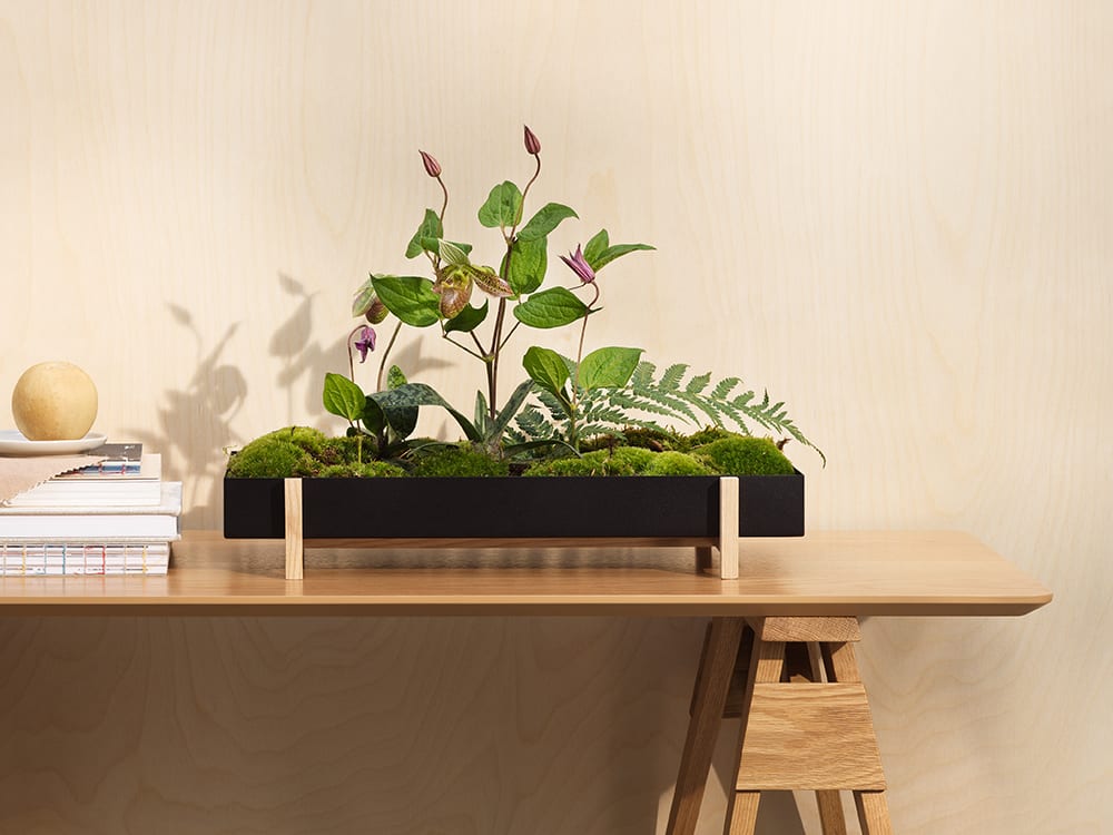 Flowertray 1 Greenery | Scandinavian Design