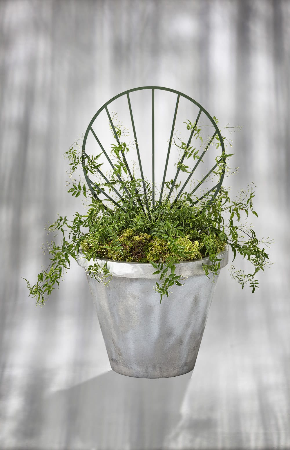 Bakgrund Gro | Scandinavian Design