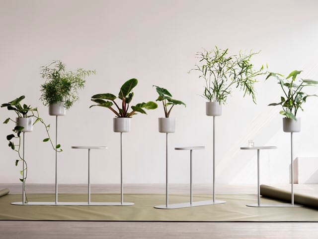 Alle Family | Scandinavian Design