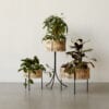 Menu Planters | Scandinavian Design