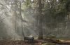 Nature Furniture Moroso Projectimage | Scandinavian Design