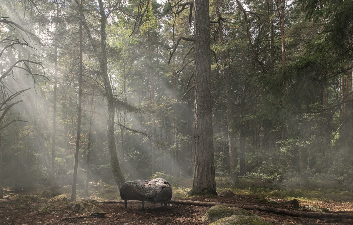 Nature Furniture Moroso Projectimage | Scandinavian Design