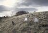 Allez Chair Group 34 Kopi | Scandinavian Design