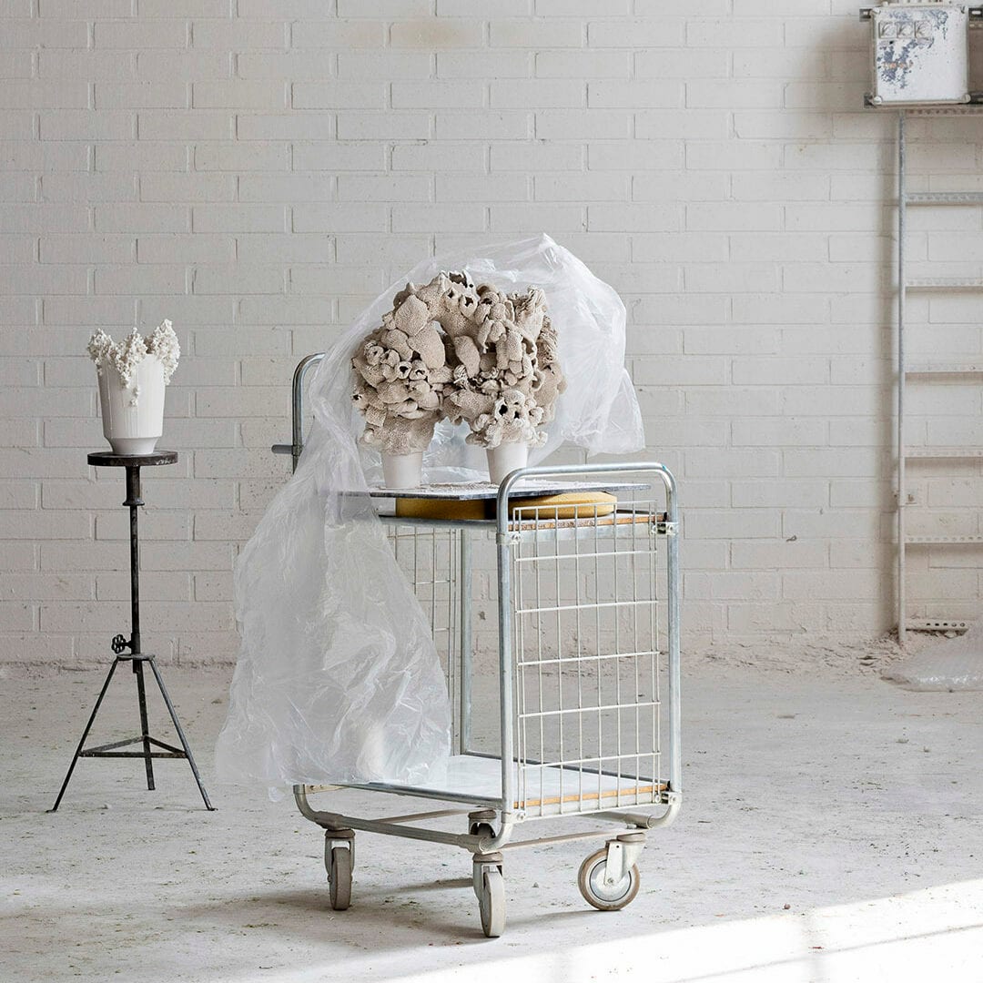 Afterglow Ver Arabia | Scandinavian Design