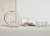 Tundra glassware collection by Oiva Toikka featuring textured surface inspired by Arctic wilderness