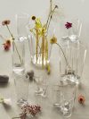 Iittala Alvar Aalto anniversary vase collection showcasing rare archive designs from 1936