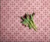 Designer Anki Gneib's new collection featuring distinctive Jack, TicTac and Marrakech pieces