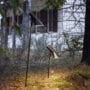 aj-garden-gallery-1
