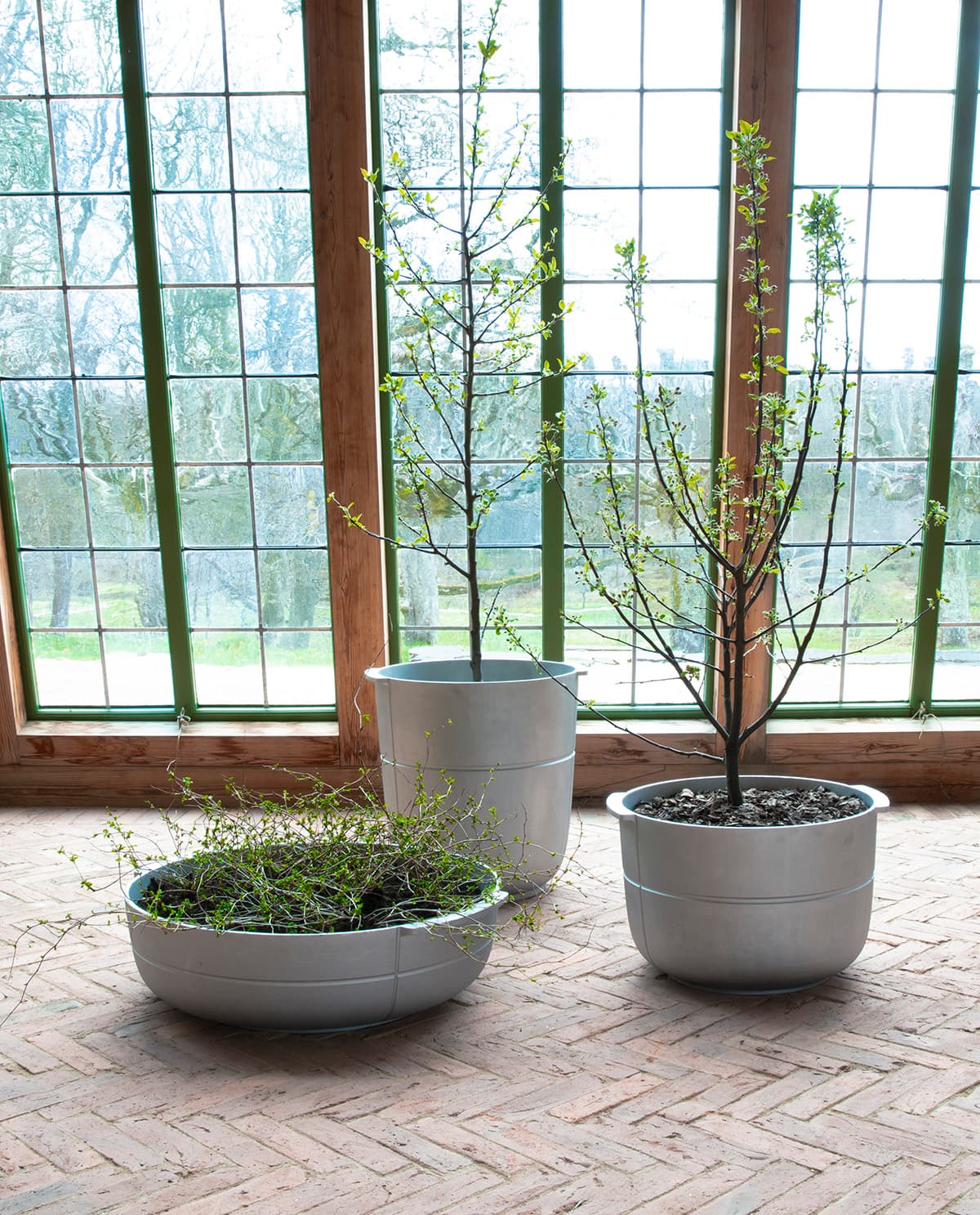 LINEA planter family by Monica Förster for Korbo featuring clean geometric forms that enhance indoor greenery display