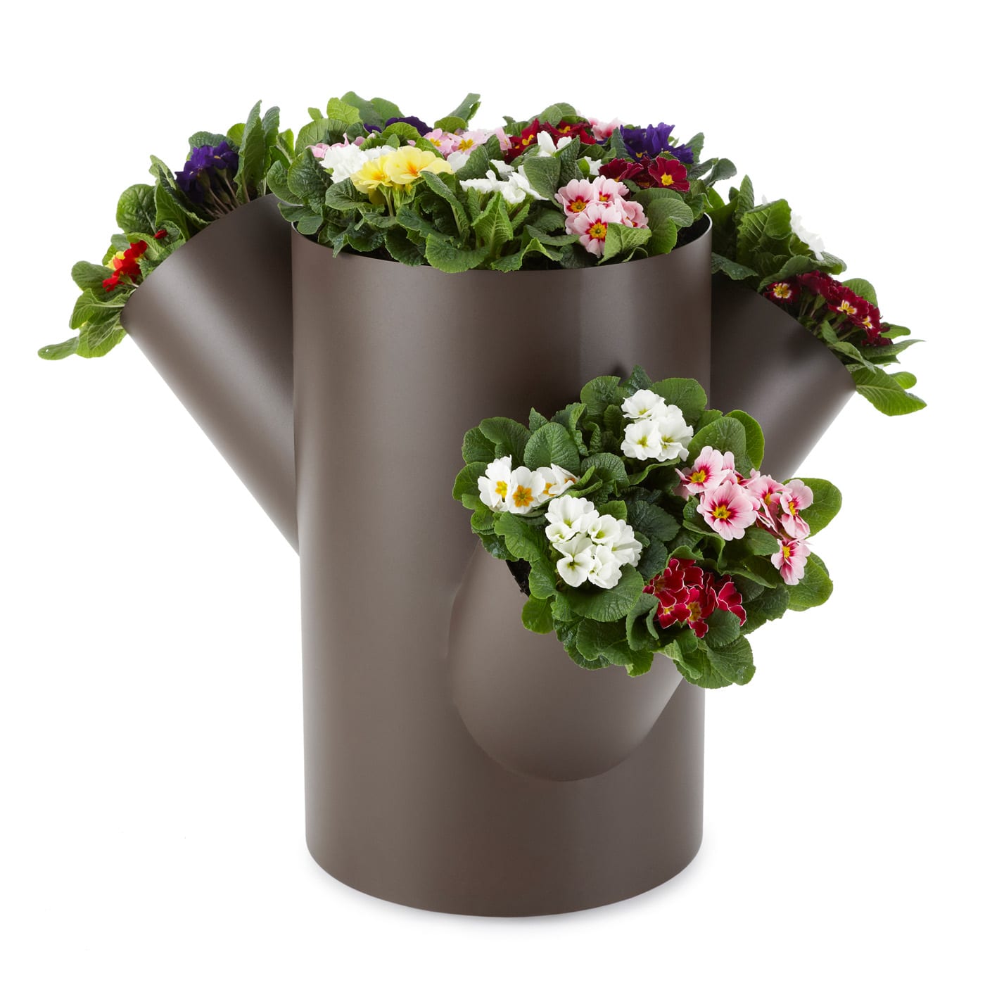 Louise Hederström Swedish furniture designer creator of innovative Willow Tree planter for Nola 2012