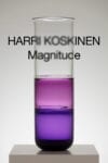 Harri-koskinen-magnitude | ScandinavianDesign.com