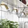 Starlight-jonas-bohlin-3