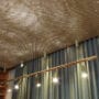 Starlight-jonas-bohlin-4