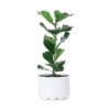Nola_planter-daisy-mia-lagerman-1 | ScandinavianDesign.com