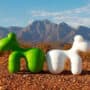 Pony-outdoor
