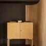 Artek Gems From The Archive In-situ Cabinet 250, Screen 100a_master