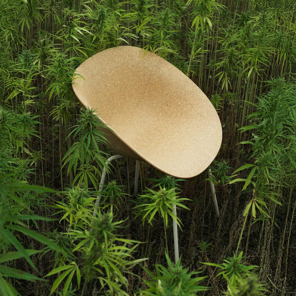 Plant To Product Hero | ScandinavianDesign.com