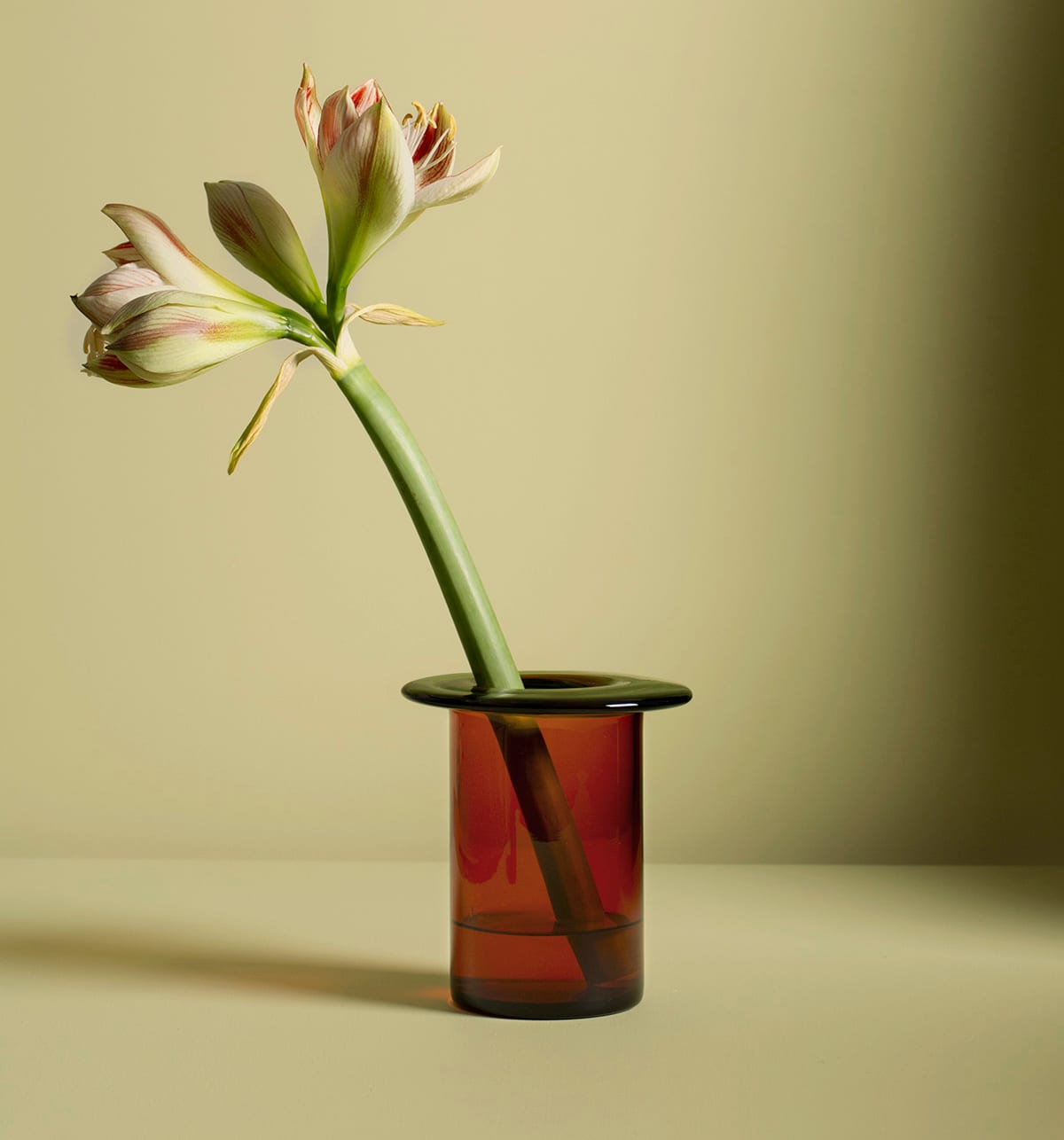 Rabarbra – A Flower Vase In Solid Color Glass Designed By Anderssen & Vo… | ScandinavianDesign.com