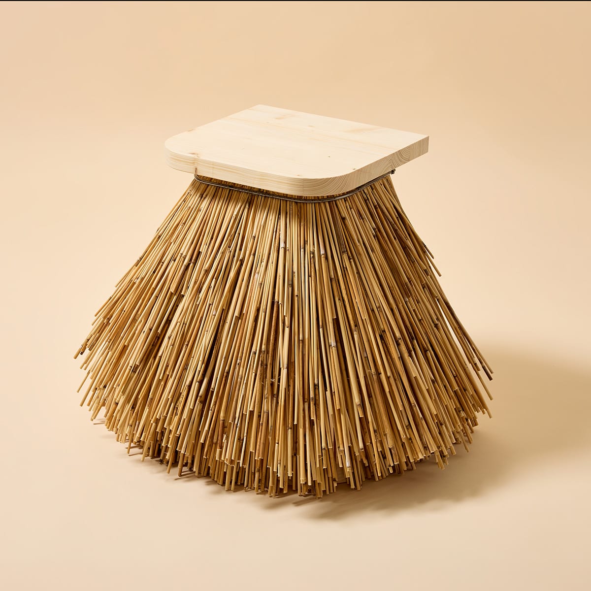 Reading Reeds Harry Parr Young Foto Alexander Beveridge | ScandinavianDesign.com