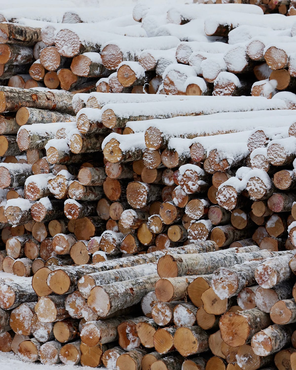 Making of Stool 60 photography Mikko RyhaÌ nen 03