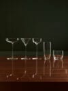 Five-piece Orrefors x Björn Frantzén bar set — Lowball, Highball, Nick & Nora, Martini, Coupe