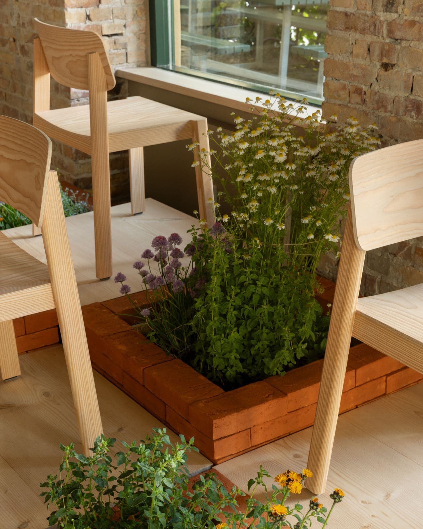 Design uden navn 1
