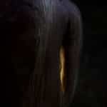 Plumpen | Scandinavian Design