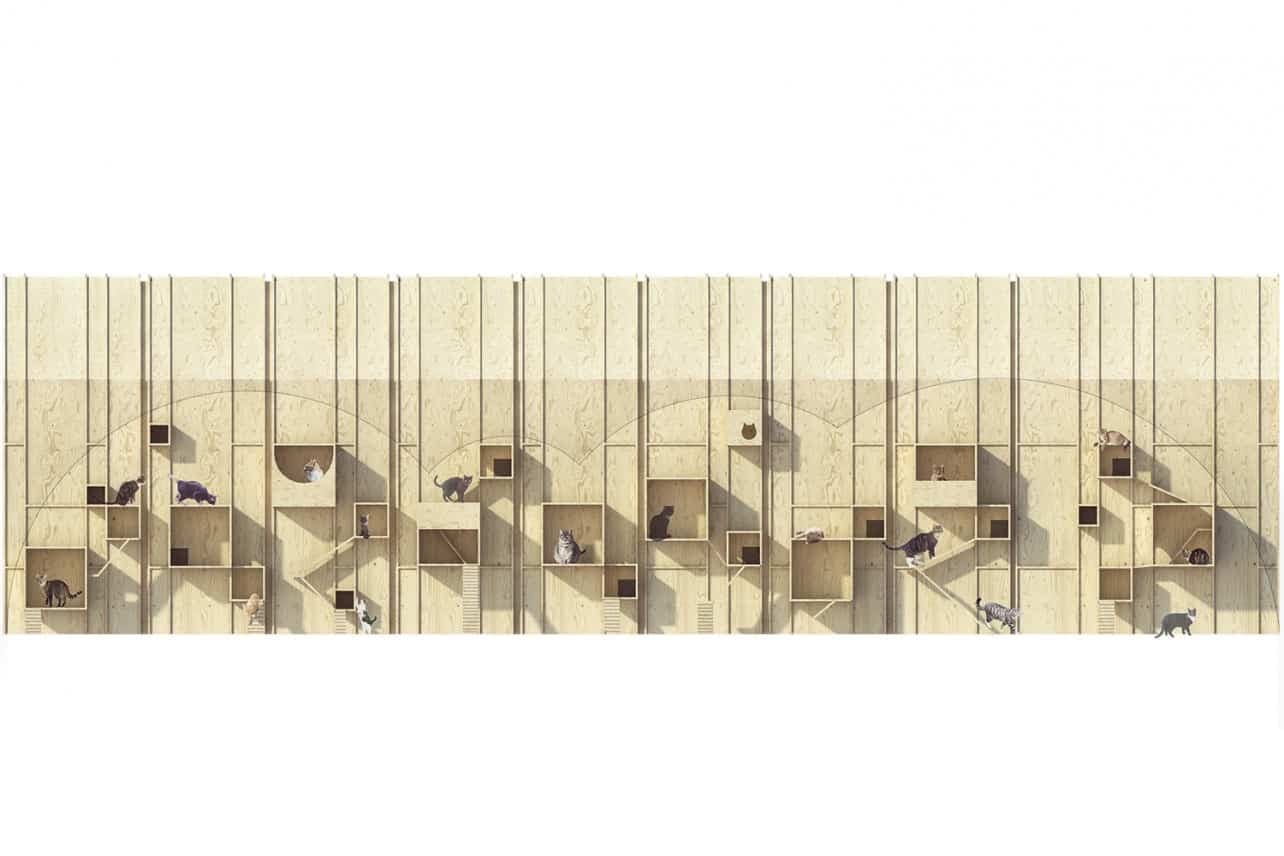 Katthotell Kopia | Scandinavian Design