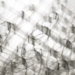 Scandinavian Design | Nordic design inspiration