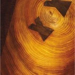 Scandinavian Design | Nordic design inspiration