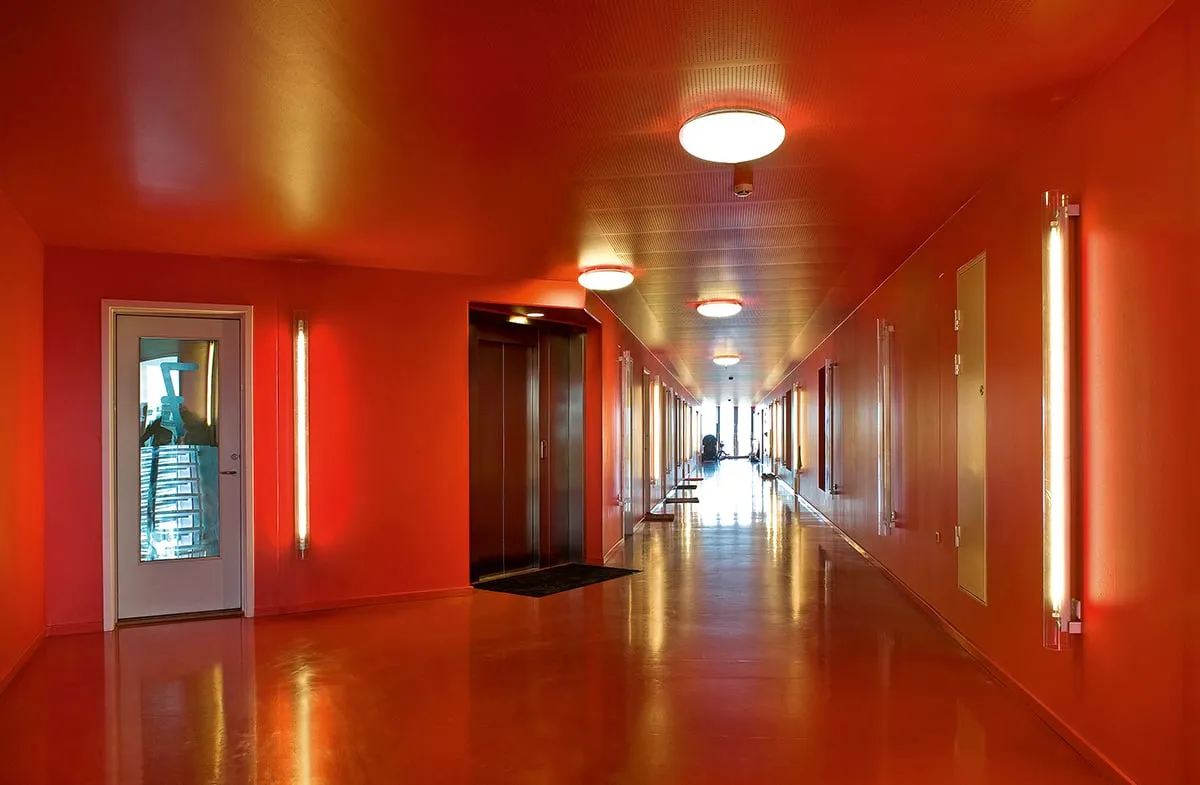 Silverback Loft | Scandinavian Design