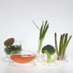 Grönt Agnes Sjöberg | Scandinavian Design