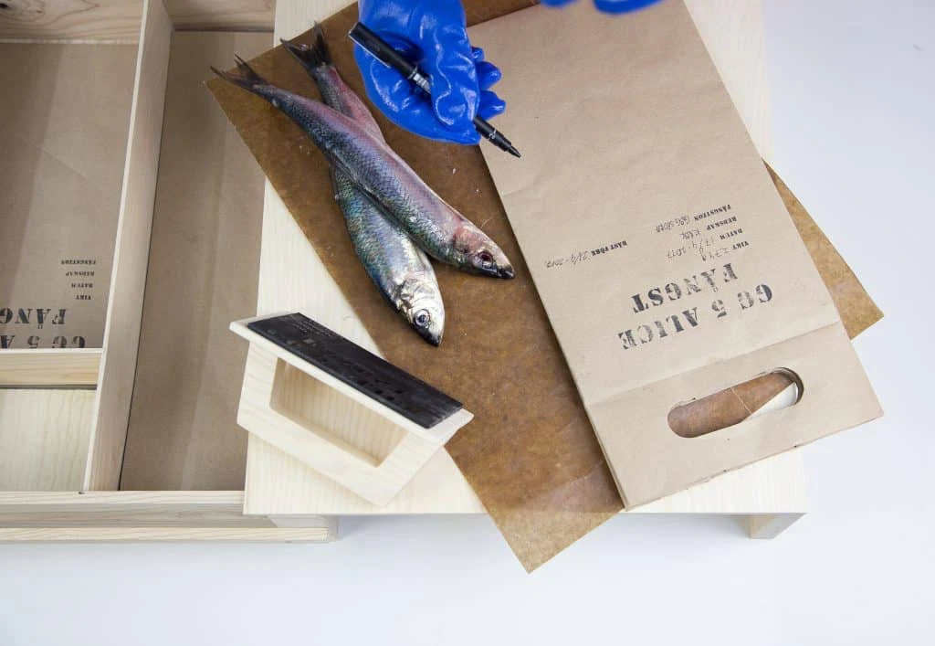 Img 5239 1024x | Scandinavian Design