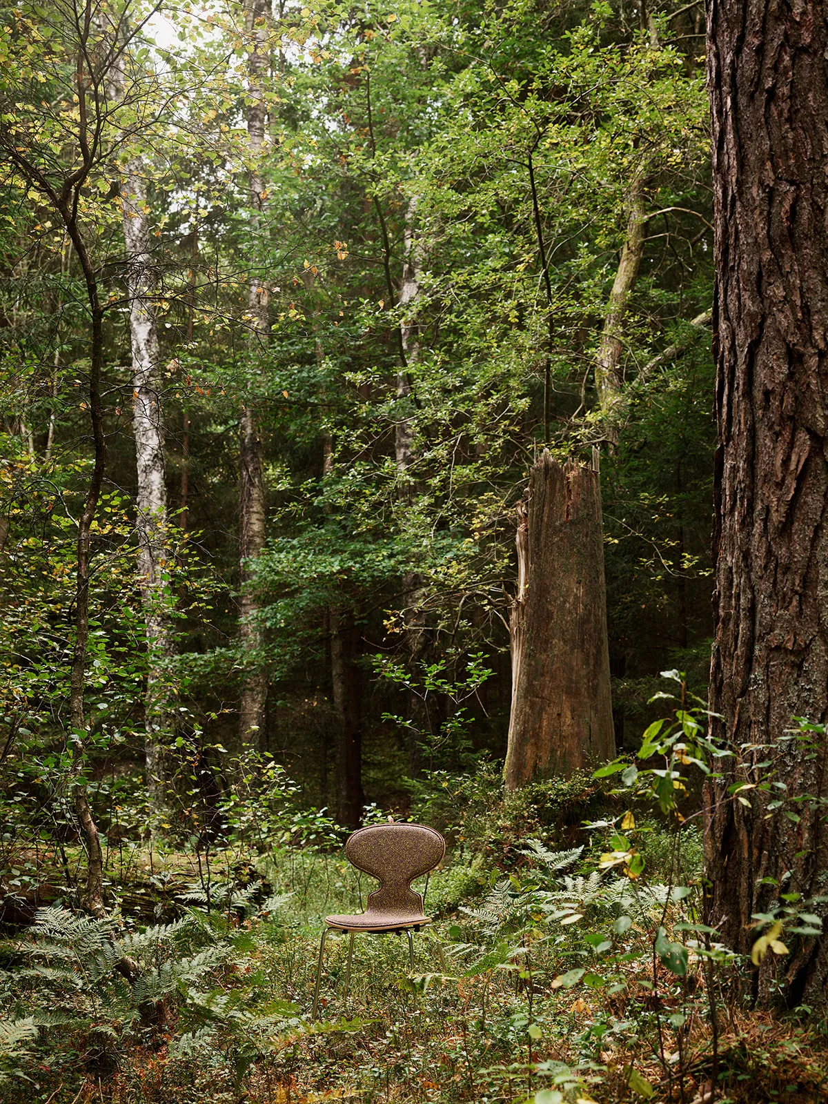 Ant chair front upholstery Arne Jacobsen Fritz Hansen 2023 polyurethane foam padded shell plywood stackable design