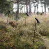 AJ Garden Bollard lamp by Arne Jacobsen for Louis Poulsen with shaded downward illumination