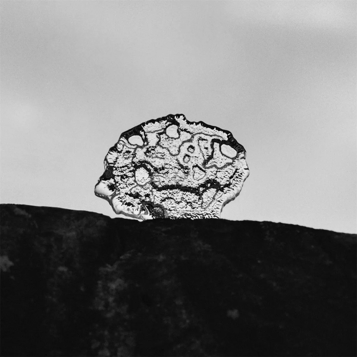 Glass Ice Platter by Tapio Wirkkala from 1976 featuring organic form resembling melting ice floating on water surface