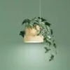 EVY lamp by Formateket for ZERO featuring customizable design that allows users to select their preferred plant element