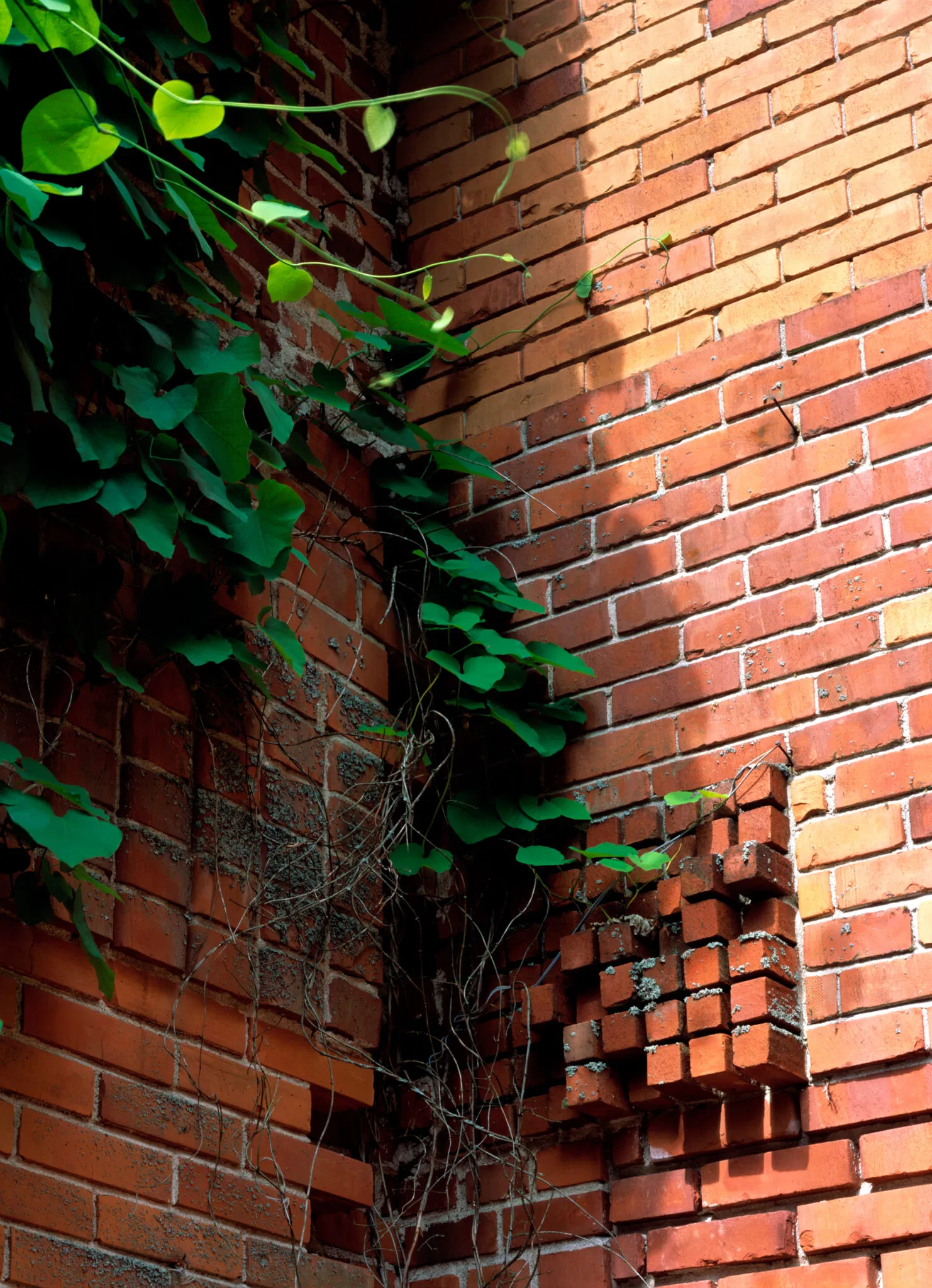 Muuratsalon koetalo Muuratsalo Eperimental House 1952 54 Jyvaskyla. Photo Maija Holma Alvar Aalto Foundation 1482x2048
