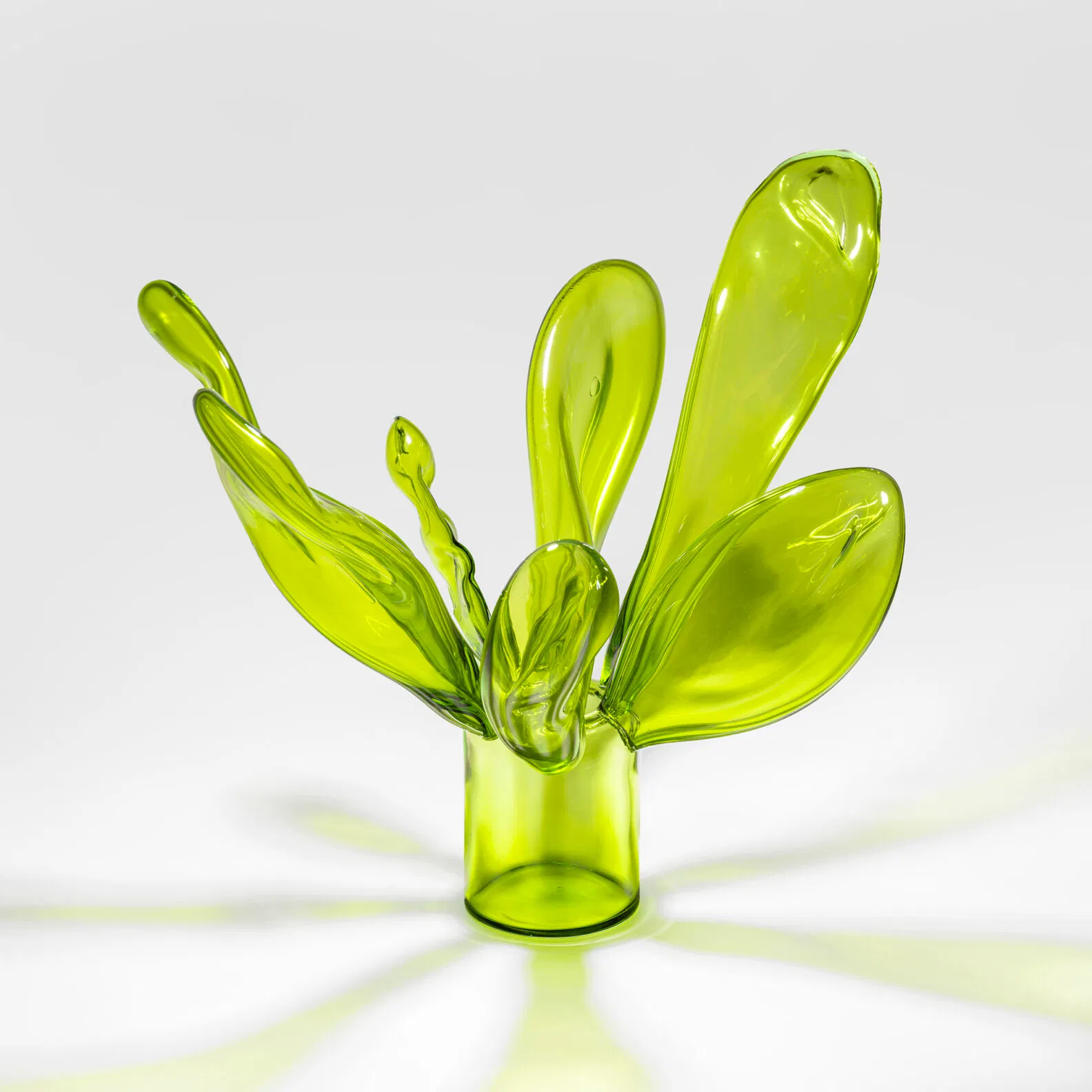 KostaBoda Alexander Lervik 02