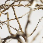 Scandinavian Design | Nordic design inspiration