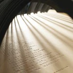 Scandinavian Design | Nordic design inspiration