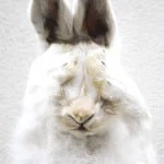 Scandinavian Design | Nordic design inspiration