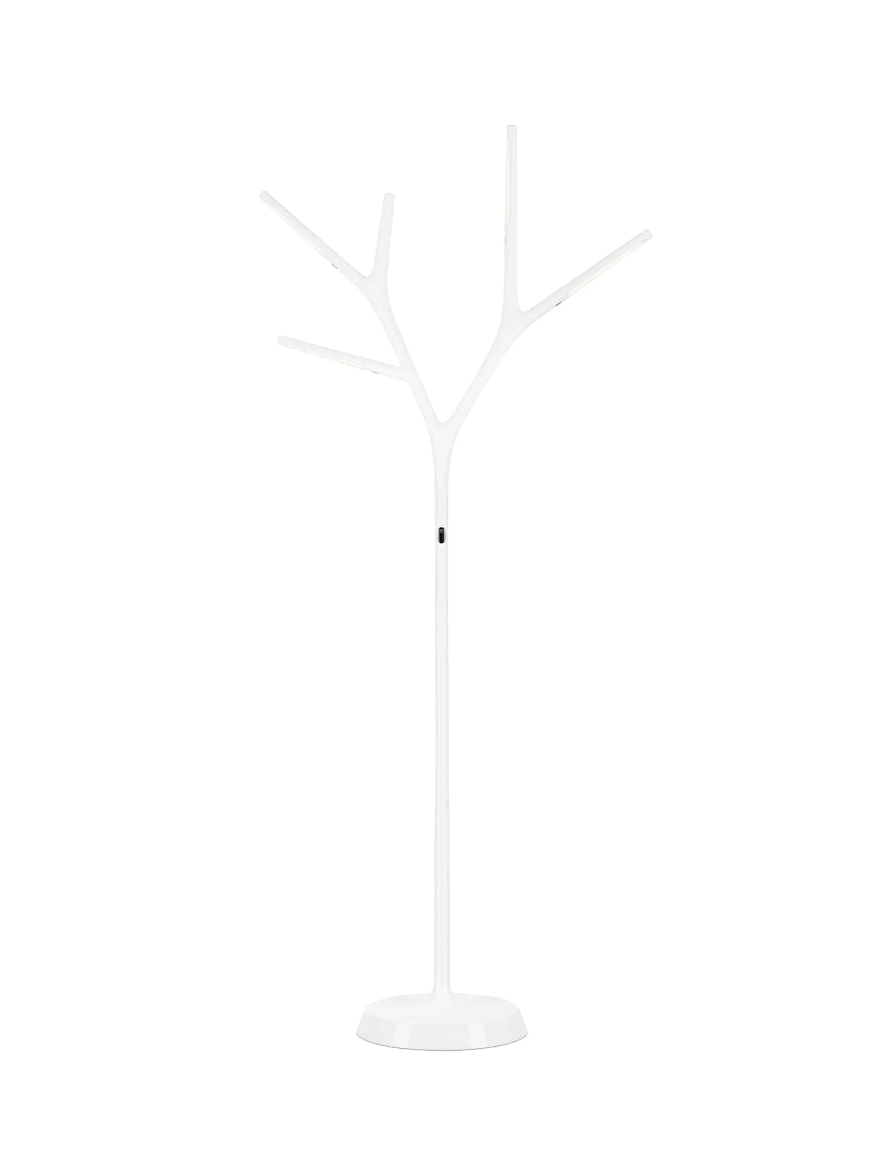 Faggio_floor_white2_11